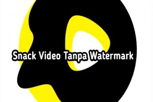 Begini Cara Download Snack Video Tanpa Watermark lewat hp dan leptop(gambar oleh canvapedia.com)