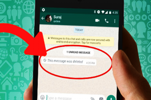 cara melihat status wa yang sudah dihapus