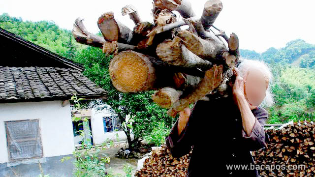 Perjuangan Orang Tua Terhadap Anak