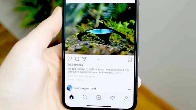 Rutin Membuat Postingan Instagram