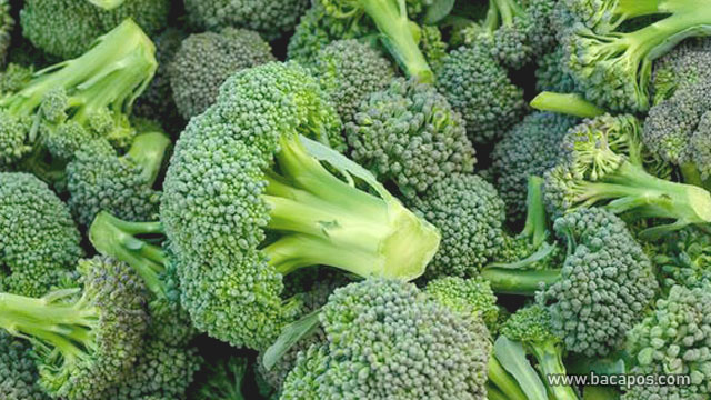 Brokoli kecantikan kulit