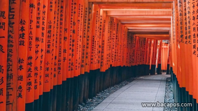 Fushimi Inari Taisha tempat wisata di jepang
