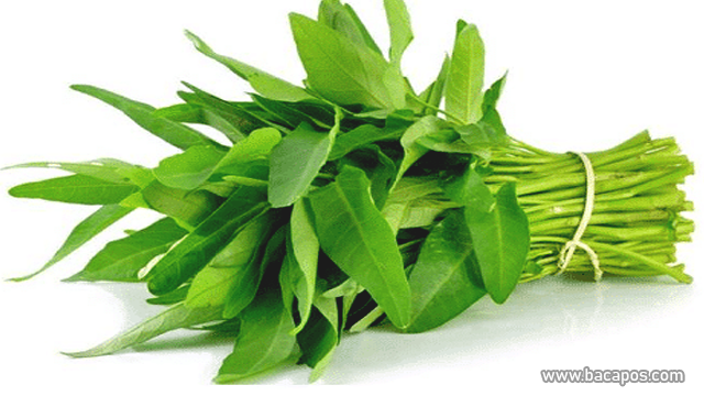 Kangkung manfaat sayuran untuk kulit