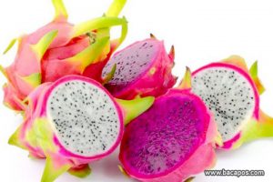 Manfaat buah naga untuk kesehatan, khasiat buahnaga merah bagi tubuh manusia