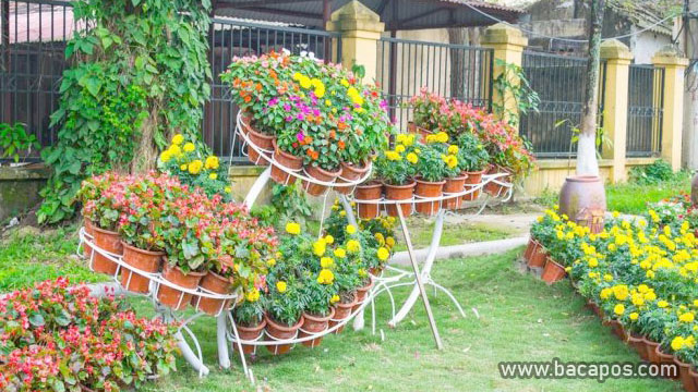 Menghiasi Dengan Bunga