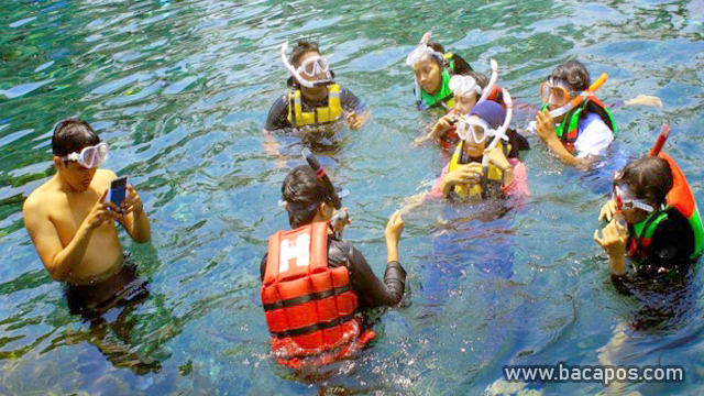 Sewa Perlengkapan Renang