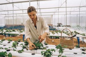 Sifat dan kelebihan zodiak virgo ini wajib diketahui untuk memahaminya