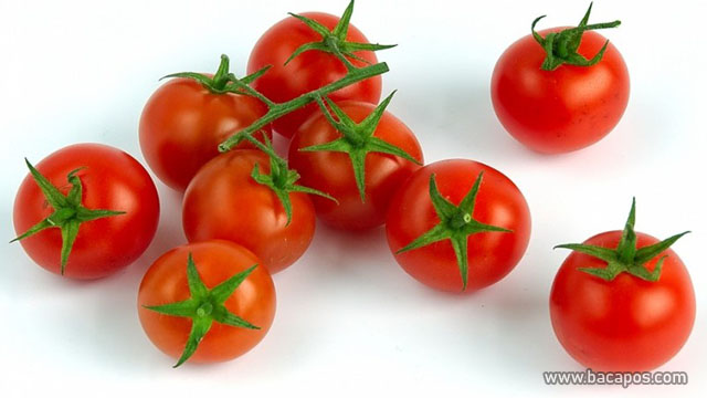 Tomat manfaat sayuran untuk kulit