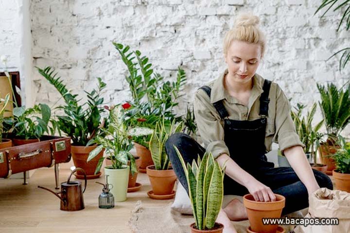 Usaha rumahan yang menjanjikan dengan modal kecil bahkan tanpa modal, ide usaha atau bisnis rumahan terbaik