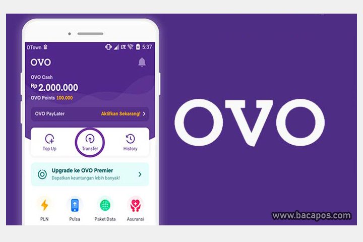 Web penghasil saldo ovo gratis tercepat dan legit duit cc