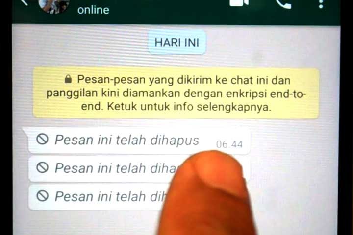 cara melihat pesan wa yang sudah terhapus