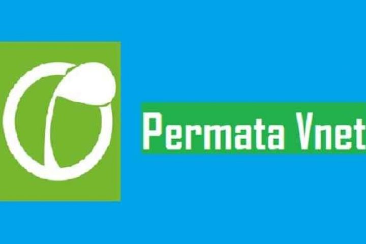Download Permata Vnet Apk Pinjol Paling Mudah Cair